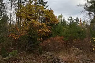 401 Genthner Rd, Waldoboro, ME 04572 - Photo 1