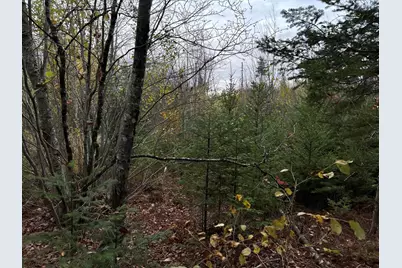 401 Genthner Road, Waldoboro, ME 04572 - Photo 19