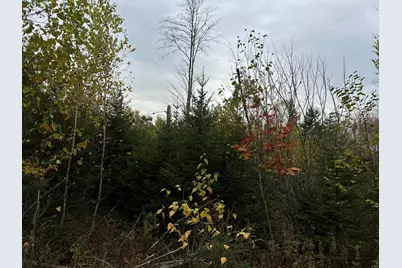 401 Genthner Road, Waldoboro, ME 04572 - Photo 3