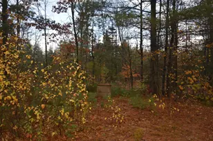 P/O Lot 7 Old School House Rd, Norridgewock, ME 04957 - Photo 25