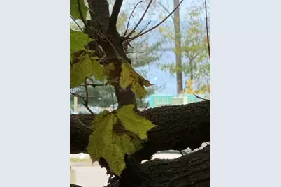 10 Camden Street Terrace, Rockland, ME 04841 - Photo 5