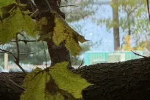 10 Camden St Terrace, Rockland, ME 04841 - Photo 5