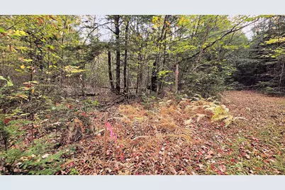 009-007 Lilly Drive, Newport, ME 04953 - Photo 3