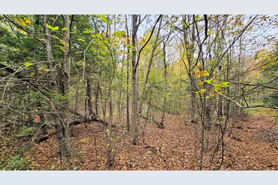 009-007 Lilly Drive, Newport, ME 04953 - Photo 5