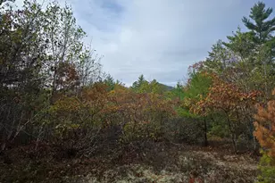 133 Plantation Ln, Brownfield, ME 04010 - Photo 1