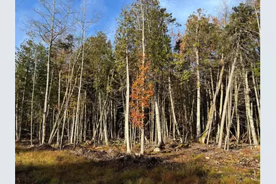 070-014 Sunrise Shore Road, Steuben, ME 04680 - Photo 1