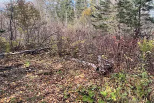 11 Martin Rd, Fort Fairfield, ME 04742 - Photo 17