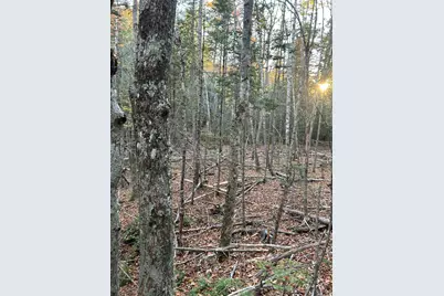 M15 L23 Varnumville Road, Brooksville, ME 04617 - Photo 19