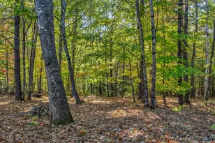 19 Birch Ests, Rome, ME 04963 - Photo 57