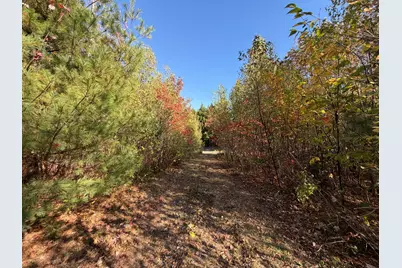 Off Lord Brook Road, Grand Falls Twp, ME 04418 - Photo 13