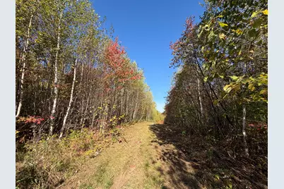 Off Lord Brook Road, Grand Falls Twp, ME 04418 - Photo 11