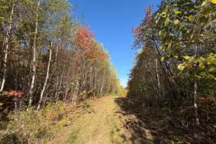 Off Lord Brook Rd, Grand Falls Twp, ME 04418 - Photo 11