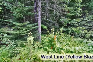 2053 Forest City Rd, Forest City Twp, ME 04413 - Photo 51