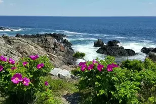 1 Robinson Way, Kennebunk, ME 04043 - Photo 23