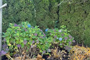 361 Waldoboro Rd, Friendship, ME 04547 - Photo 75