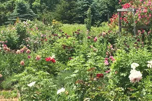 361 Waldoboro Rd, Friendship, ME 04547 - Photo 63