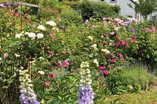 361 Waldoboro Rd, Friendship, ME 04547 - Photo 59