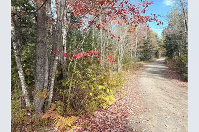 Lot 22 Off South Meadow & Roys Way Road, Perry, ME 04667 - Photo 3