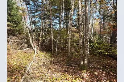 Lot 22 Off South Meadow & Roys Way Road, Perry, ME 04667 - Photo 9