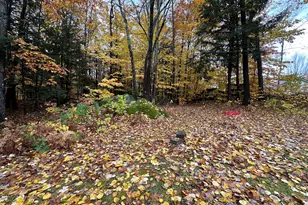 21 Ludden Dr, Jay, ME 04239 - Photo 37