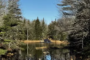 425 Saco Rd, Columbia Falls, ME 04623 - Photo 69
