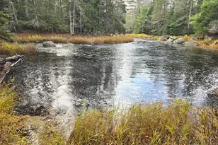 425 Saco Rd, Columbia Falls, ME 04623 - Photo 63