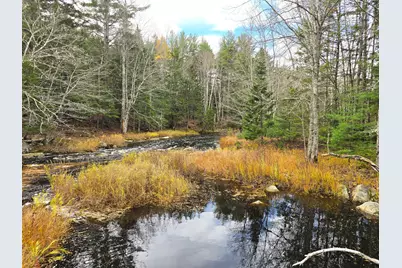 425 Saco Road, Columbia Falls, ME 04623 - Photo 61