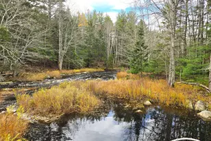 425 Saco Rd, Columbia Falls, ME 04623 - Photo 61