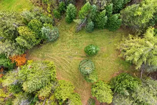 1445 Bear Hill Rd, Dover Foxcroft, ME 04426 - Photo 45