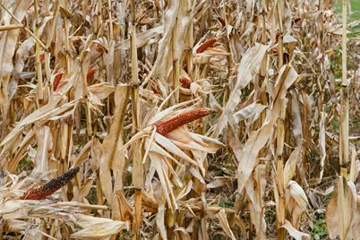 1445 Bear Hill Road, Dover Foxcroft, ME 04426 - Photo 43