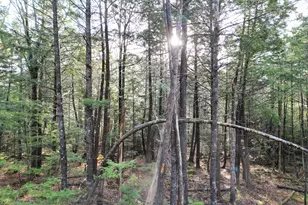 22 Sugarbush Ln, Lee, ME 04455 - Photo 9