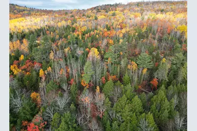 22 Sugarbush Lane, Lee, ME 04455 - Photo 11