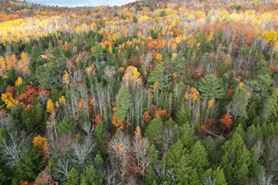 22 Sugarbush Ln, Lee, ME 04455 - Photo 11