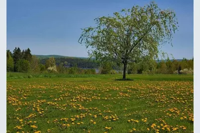 341 US Route 1, Weston, ME 04424 - Photo 99