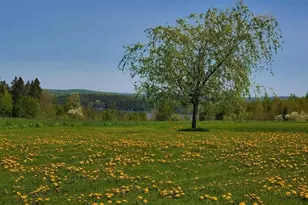 341 US Route 1, Weston, ME 04424 - Photo 99