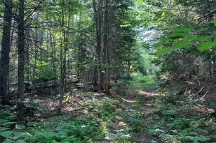 341 US Route 1, Weston, ME 04424 - Photo 93