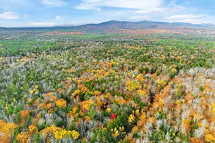 0 S River Ln, Parsonsfield, ME 04047 - Photo 1