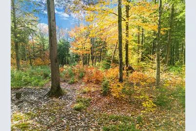 0 South River Lane, Parsonsfield, ME 04047 - Photo 35