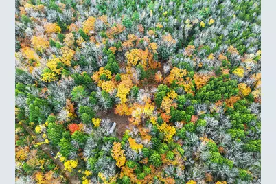 0 South River Lane, Parsonsfield, ME 04047 - Photo 39