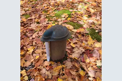 264 Day Mountain Road, Temple, ME 04984 - Photo 43