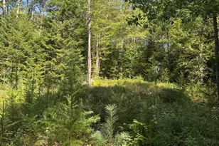 1730 Main St, Harrington, ME 04643 - Photo 1