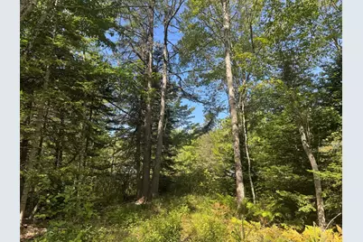 1730 Main Street, Harrington, ME 04643 - Photo 5