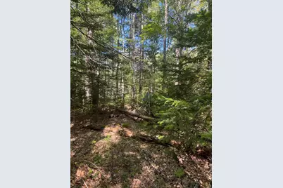 1730 Main Street, Harrington, ME 04643 - Photo 3