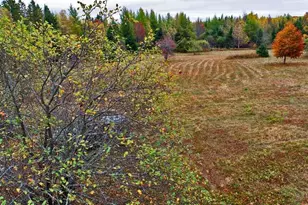 479 Harris Hill Rd, Weston, ME 04424 - Photo 11