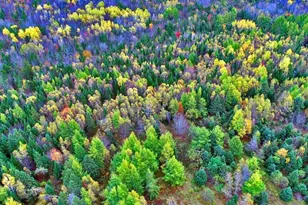 479 Harris Hill Rd, Weston, ME 04424 - Photo 33