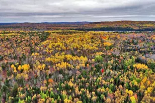 479 Harris Hill Rd, Weston, ME 04424 - Photo 29