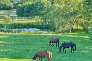 1588 Pond Rd, Mount Vernon, ME 04352 - Photo 83