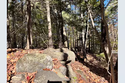 147 Mitchell Brook Road, Temple, ME 04984 - Photo 61