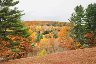 147 Mitchell Brook Rd, Temple, ME 04984 - Photo 47