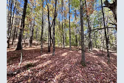 147 Mitchell Brook Road, Temple, ME 04984 - Photo 63